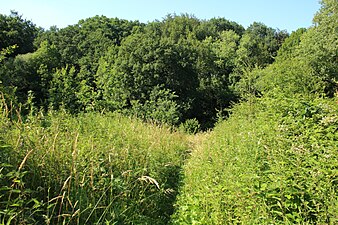 Le GR VA à Parkbos-Uilenbroek (nl)