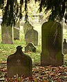 Cimitirul evreilor din Hameln