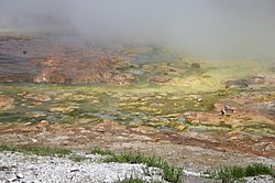 Geiser met sterk gekleurde archaea. In dergelijke extreme omstandigheden werden archaea voor het eerst ontdekt.