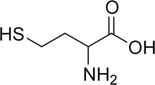 Homocysteine racemic.png