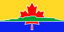 Drapeau de Thunder Bay