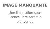 Image illustrative de l’article État-major particulier du président de la République française