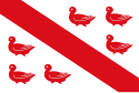 Vlag van Tinlot