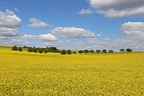 Longchamps-sur-Aire