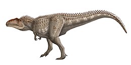 A Giganotosaurus rekonstrukciója