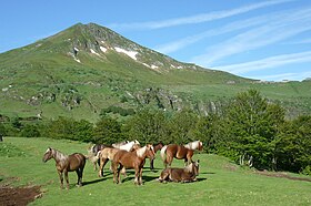 Vue du puy Mary en été.