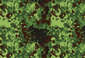 Flecktarn Woodland polonais Gepard