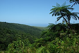 Panorama depuis les Chutes du Carbet, Capesterre-Belle-Eau.