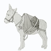 Dibujo de un burro con un ser�n en el que carga mineral de yeso