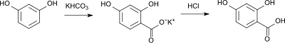 Herstellung von 2,4-Dihydroxybenzoes�ure durch Kolbe-Synthese