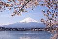 富士山