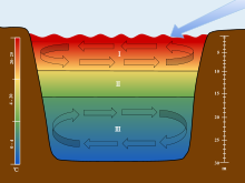 L'epilimnio, il termoclino e l'ipolimnio. Le scale vengono utilizzate per associare ogni sezione della stratificazione alle corrispondenti profondità e temperature. La freccia è usata per mostrare il movimento del vento sulla superficie dell'acqua che avvia il ricambio nell'epilimnio e nell'ipolimnio.