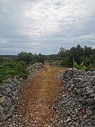 Fußweg auf einer massiven Trockenmauer