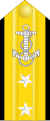 少将