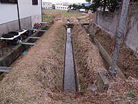 ⑮練部屋で分水した蛸草(左)・天満(中)・草谷(右)支線