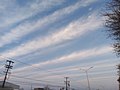 Cirrus radiatus