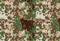 Flecktarn Aride commercial