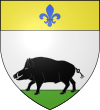 Blason