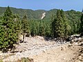 土石流（大畑ノ沢）新潟・福島豪雨