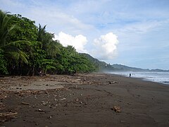 Playa Dominical