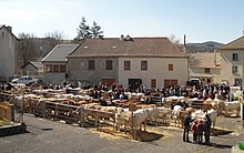 Foire grasse du Béage