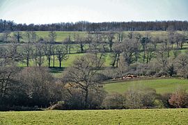 Paysage de semi-bocage près de Solignac, au centre.