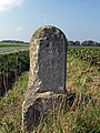 Ganzmeilenstein an der S 111 in Neubelgern