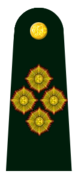 General de Ej�rcito