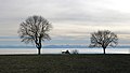 Contre jour où deux arbres en hiver se détachent devant un horizon fait d'une chaine de montagnes.