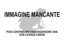 Immagine di Anomaloglossus guanayensis mancante