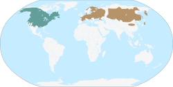 �rea de distribuci�n de O. zibethicus: en azul oscuro: nativo, y en marr�n: introducido.