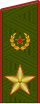 Повседневный погон генерала армии (1974-1991)