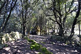 Ruines d'Arca.