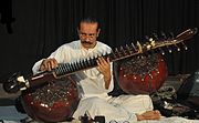 Rudra vina, instrumento musical de cuerdas tradicional en India, con 2 tumbas, resonadores hechos de 2 calabazas de Lagenaria siceraria. De aspecto similar es la vichitra vina, tambi�n con 2 tumbas de calabaza.