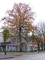 Café « Promenade ».