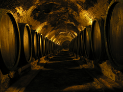 Cave de vieillissement de tokay en Slovaquie.