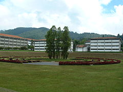 Laberinto Cromovegetal, Università Simón Bolívar.