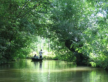 Le marais poitevin.