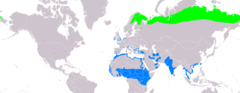 Distribuci�n de Tringa erythropus