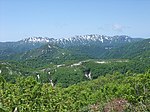 A forested mountain landscape.