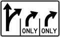 R3-H8ccc Lane Use Control Sign (TR-R-R)