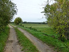 Eysines, chemin de la Cabane du Maraîcher.