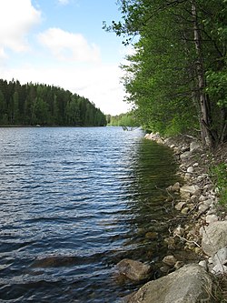 Ison-Pitkustan itärantaa kesäkuussa 2014.