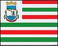 Bandeira de Liberato Salzano