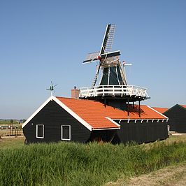 De Jonge Leeuw (2008)