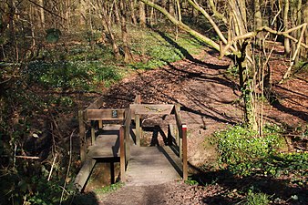 Le GR VA dans les Everbeekse bossen