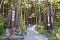 遊歩道入口と木道（上等）