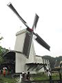 Paltrokmolen in het Openluchtmuseum te Arnhem