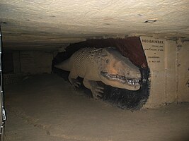 Megalosaurus in Gemeentegrot Valkenburg