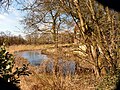 Gracht Gut Brandlecht in natuurreservaat Tillenberge